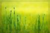 ... fields of gold ...